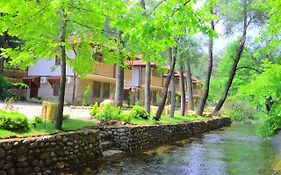 Eco Family Park